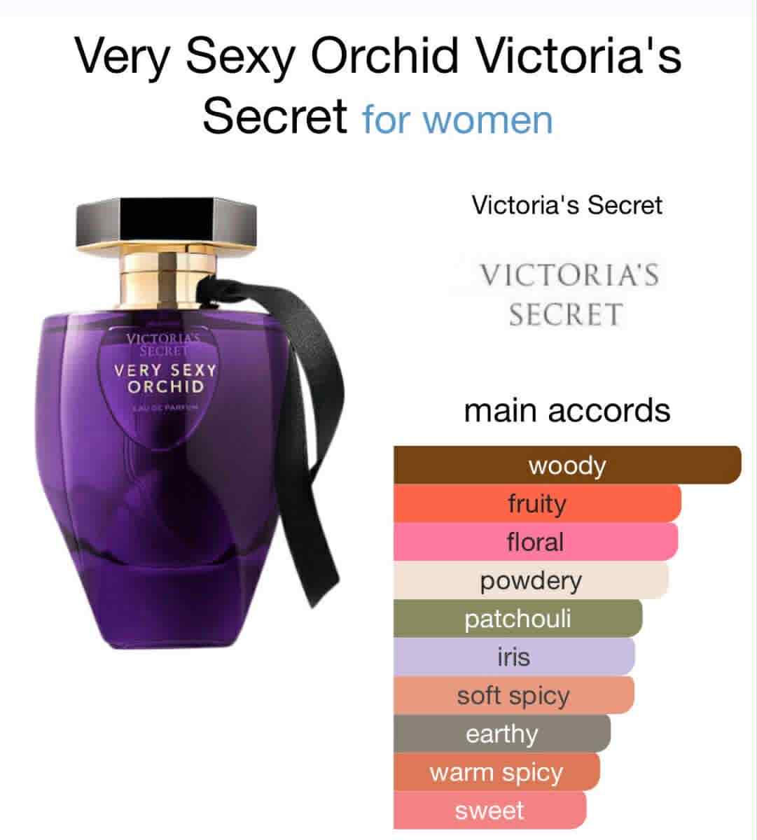 VS Very sexy orchid