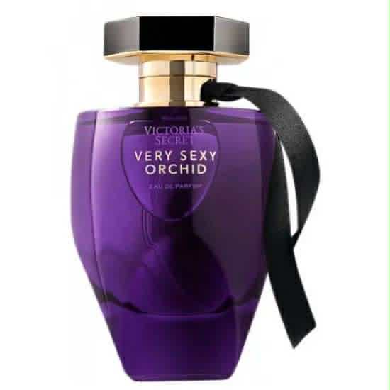 VS Very sexy orchid