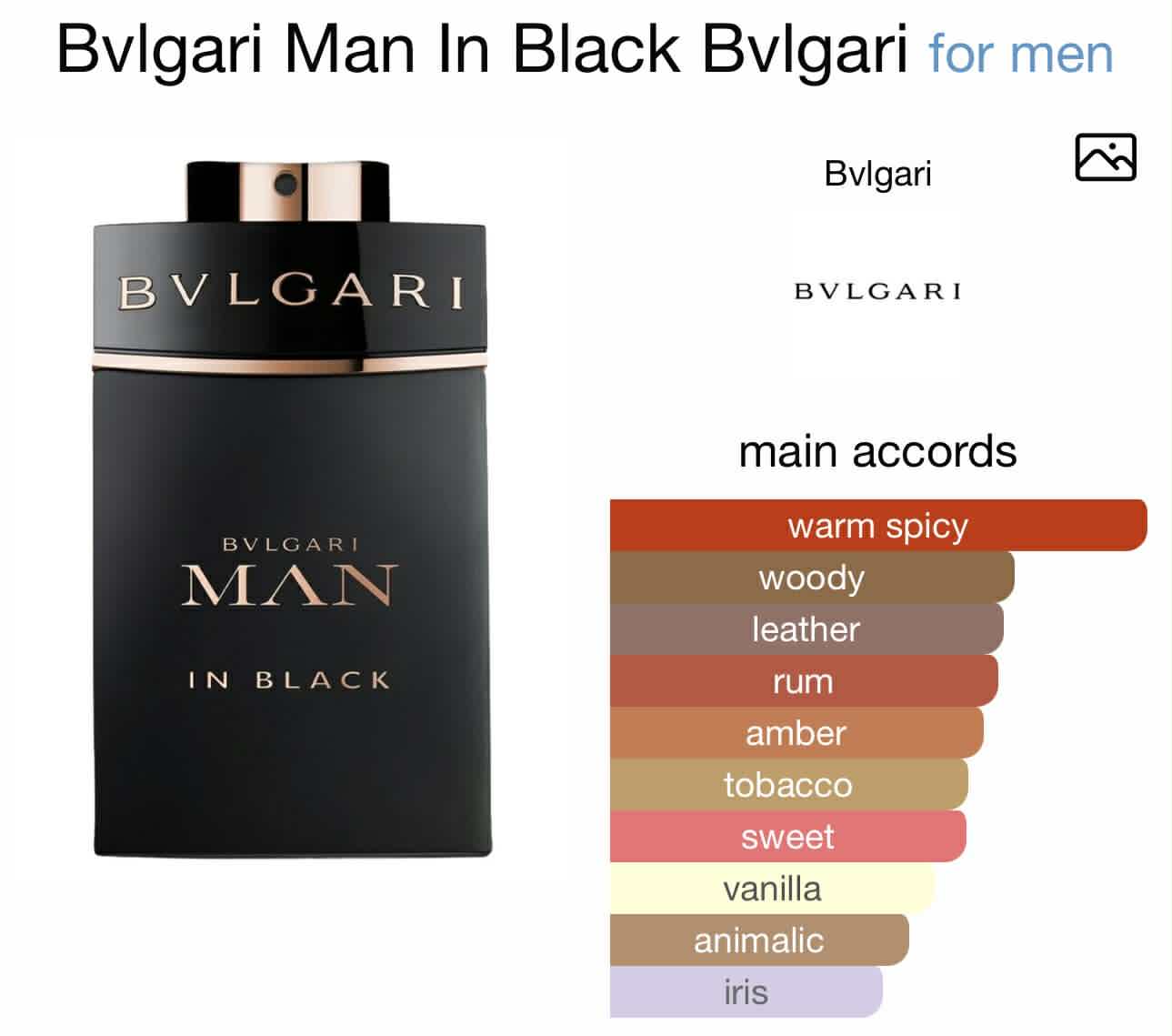 Bvlgari man in black
